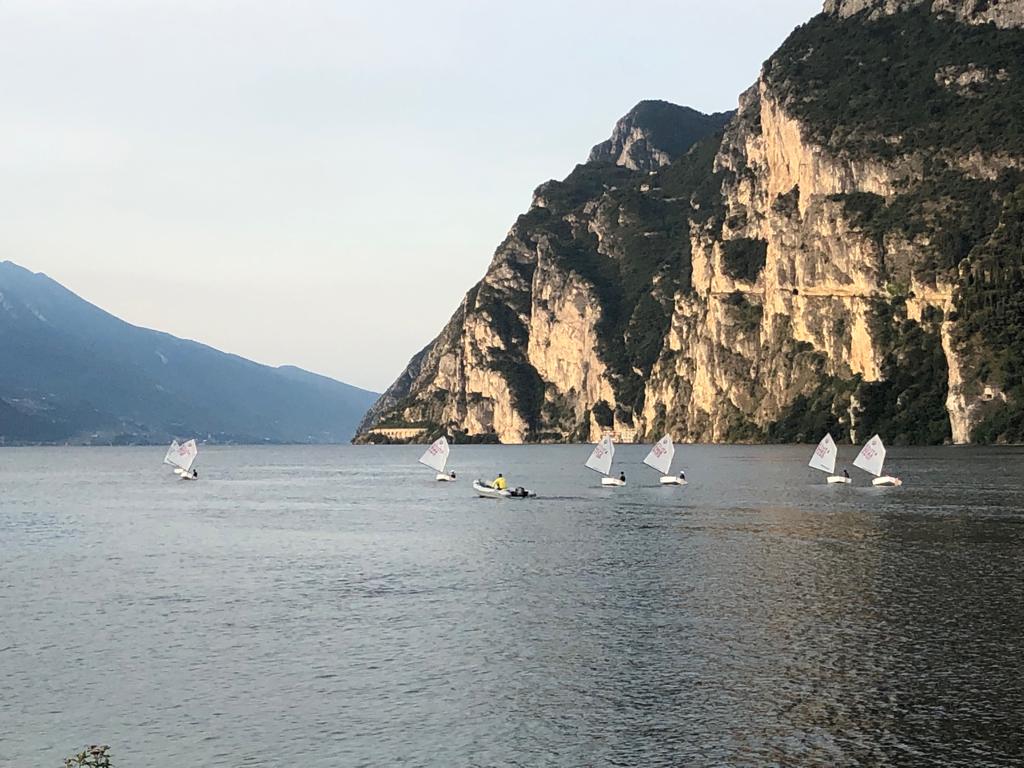 arco-optmist-201904