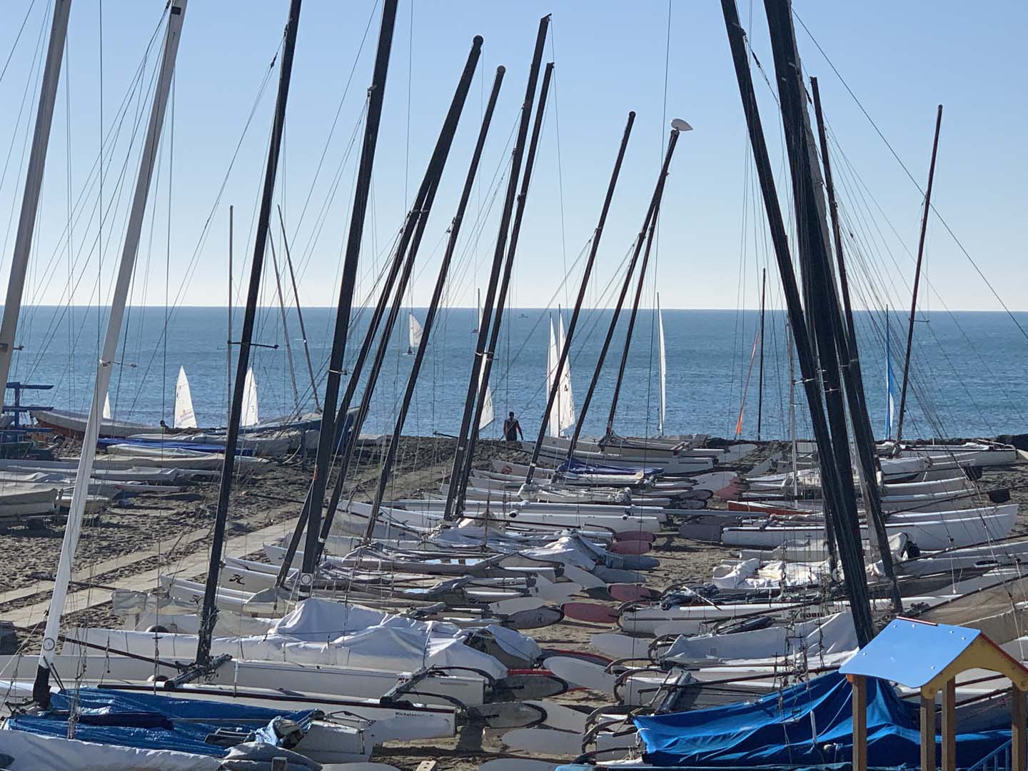 Regata_della_befana_2020_02