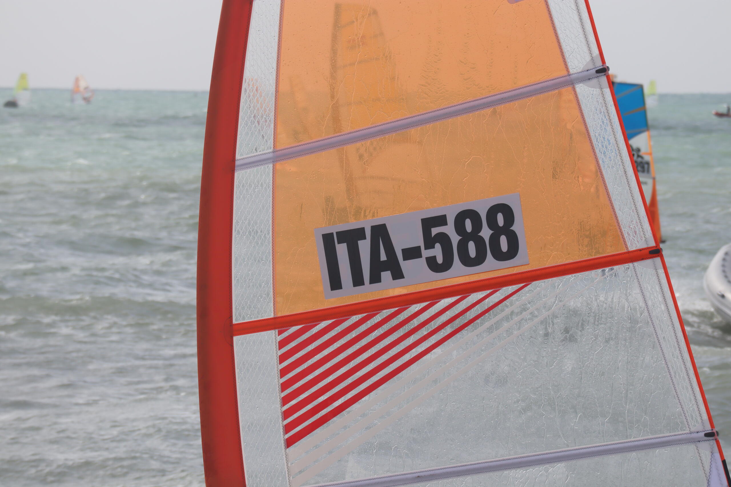 T293_LNIO_2021155
