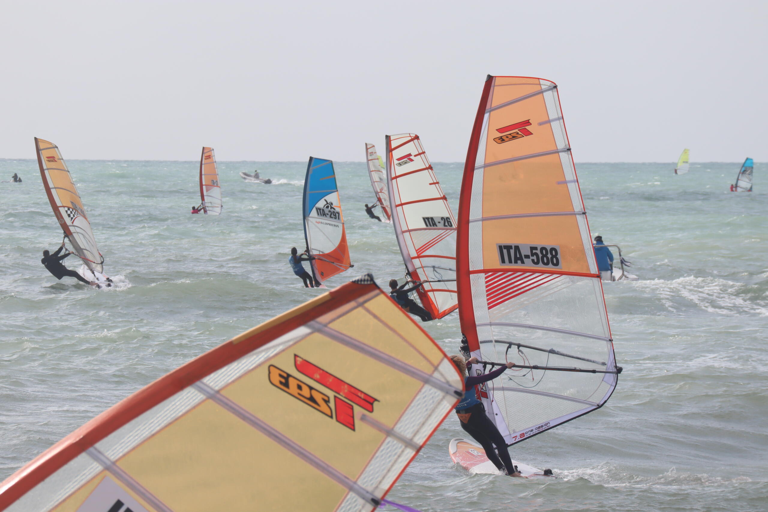 T293_LNIO_2021158