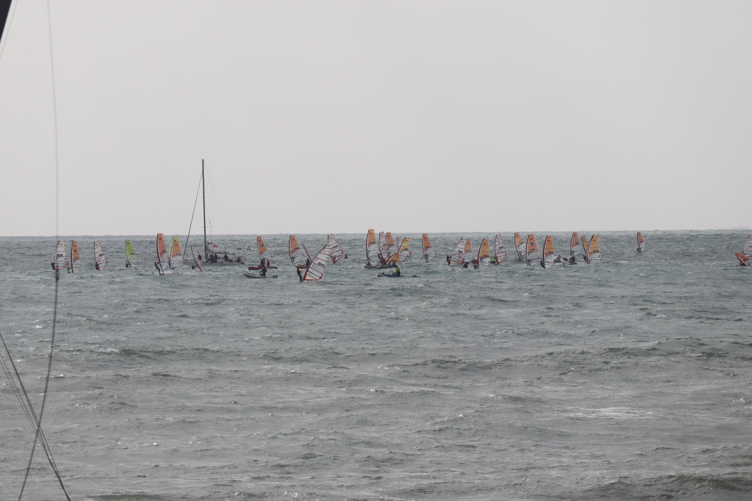 T293_LNIO_2021184