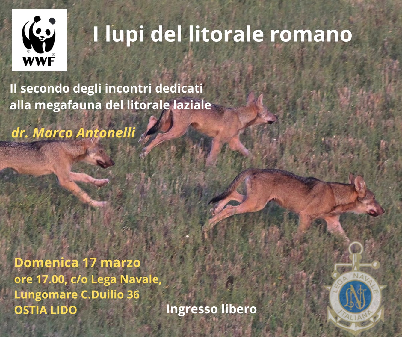 Incontri LNIO 2024 (1)