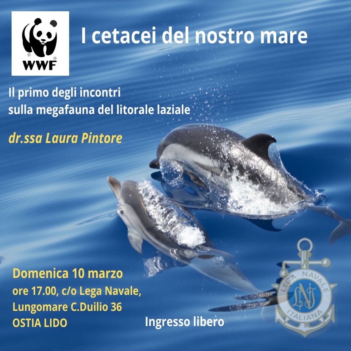Incontri LNIO 2024 (2)