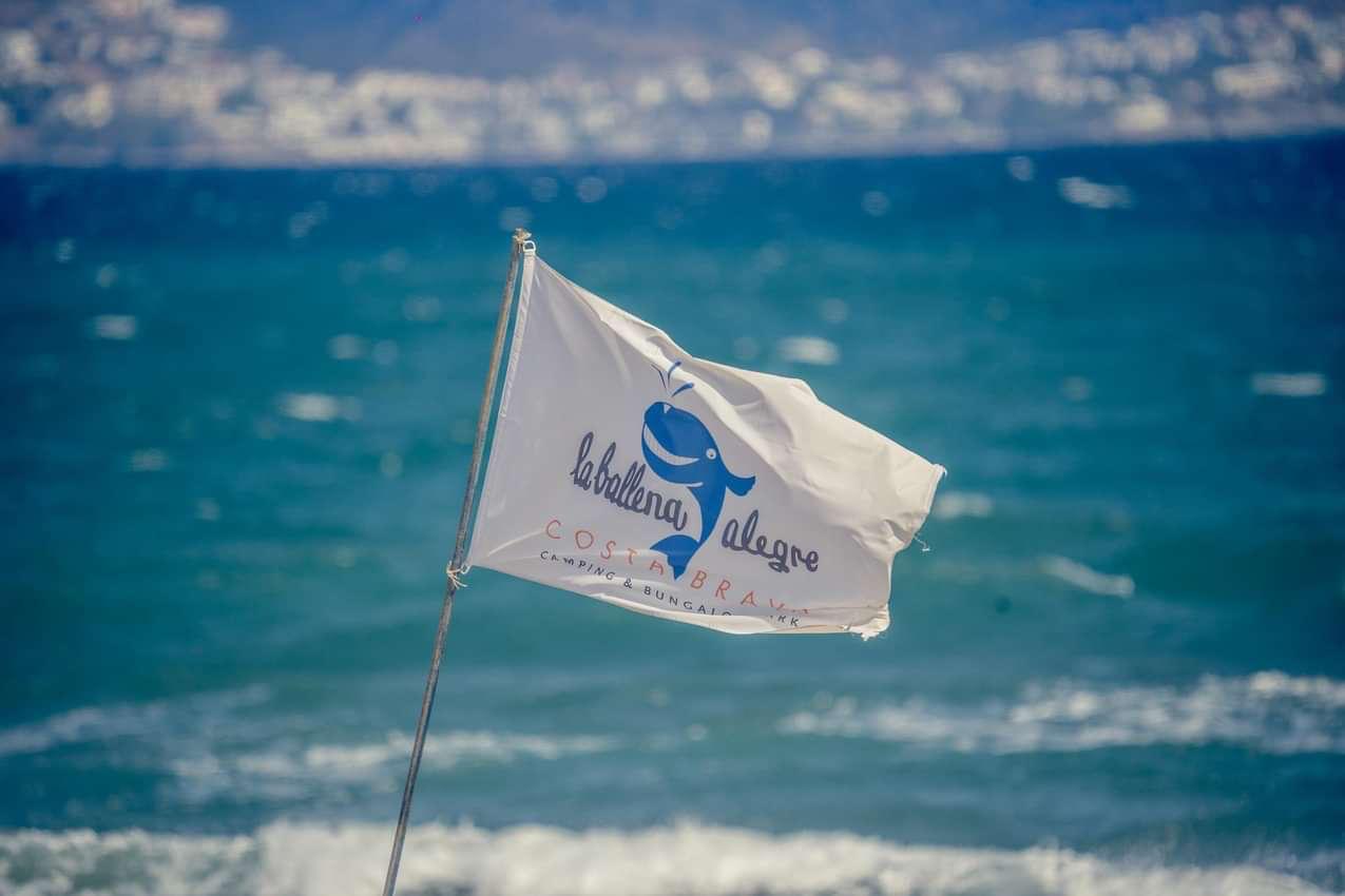 2024 windsurf world