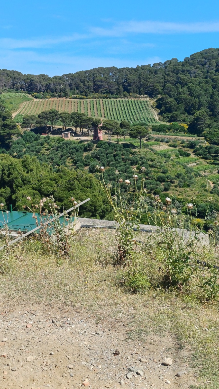 Eros_Ostia-Gorgona_2025_008