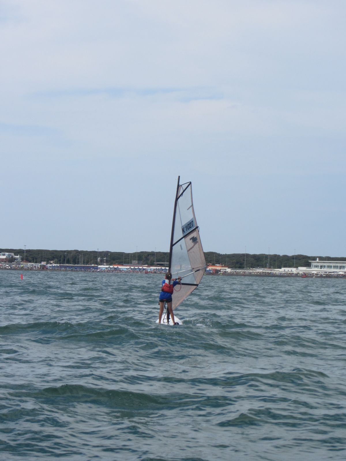 t293_lnio_003
